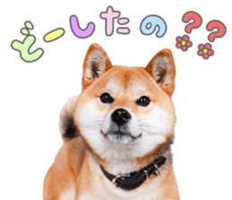 769905862