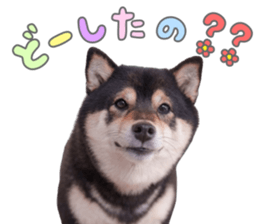 769905974