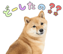 769906046