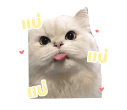 769910127