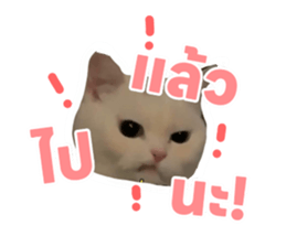 769910128