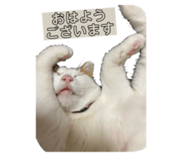 769919394