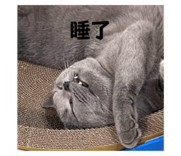 769925539