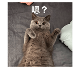 769925540