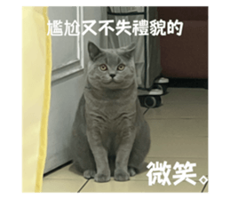 769925550