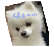 769930787