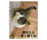 769932520