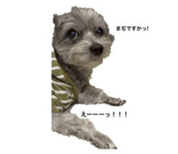 769948772