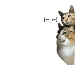 769959506