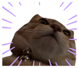 769959508