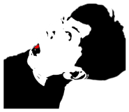 769960028