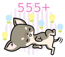 7699657