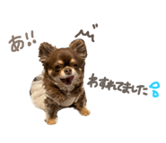 769971006