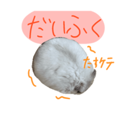 769971803