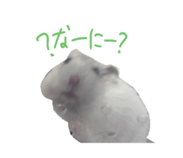 769971808