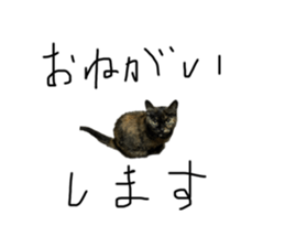 769972064
