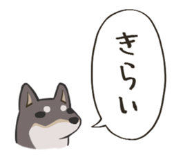 769977244