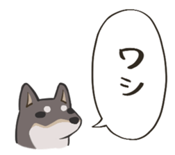 769977256