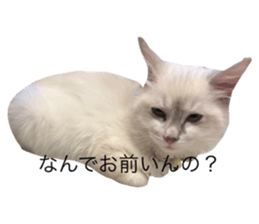 769978860