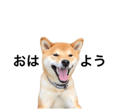 769978931