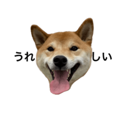 769978940