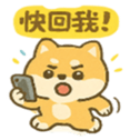 769995609