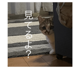 769998763