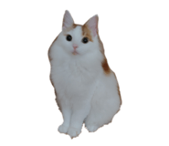 769999545