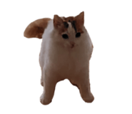 769999546