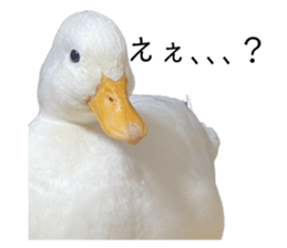 770011521
