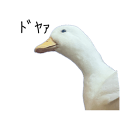 770011522