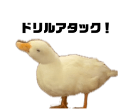 770011531