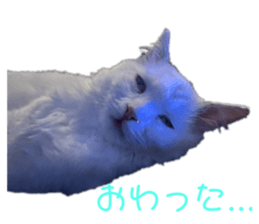 770020023