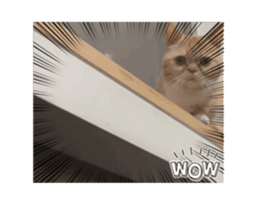 770020697