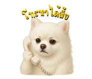 770036666