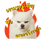 770036683