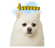770036687