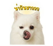 770036688