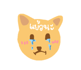 770040969