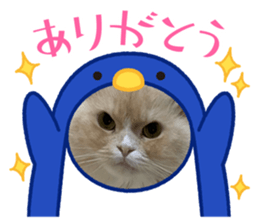 770046455