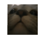770053305