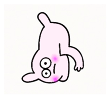 770064855