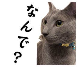 770112634