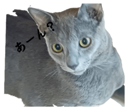 770112645
