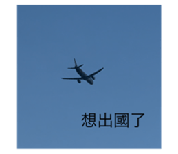 770119251