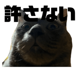 770123060