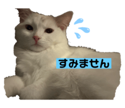 770125769