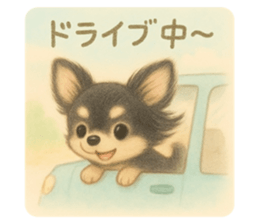 770125812