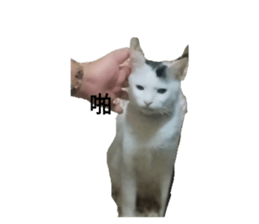 770136073