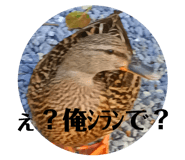 770139521